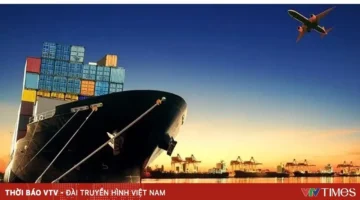 شركات الاستيراد تواجه تقلبات الدولار الأمريكي بالبحث عن استراتيجيات تكيف جديدة